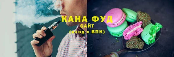 мет Алексин