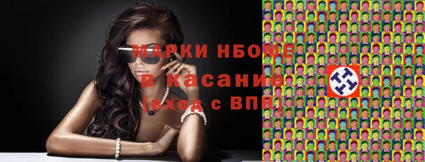 мет Алексин