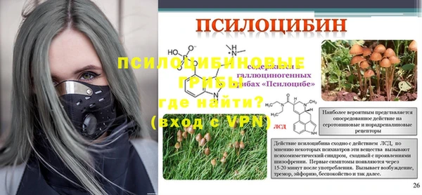 мет Алексин