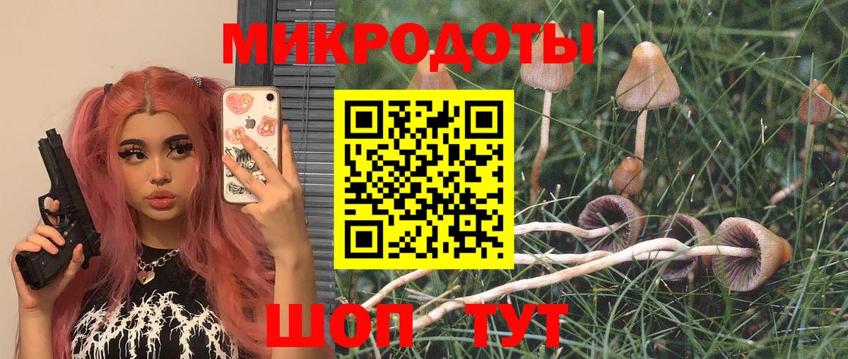 Галлюциногенные грибы прущие грибы Зеленокумск