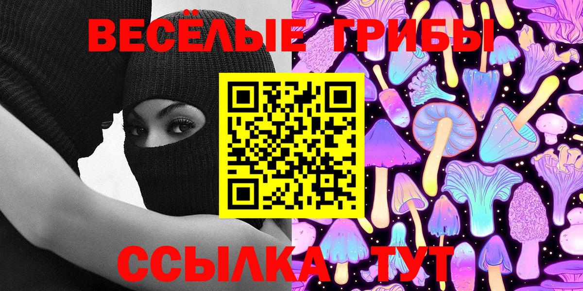 Альфа ПВП Зеленокумск